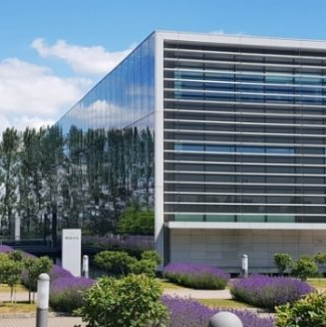 Rolex, Kings Hill, Kent