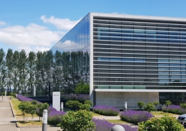 Rolex, Kings Hill, Kent